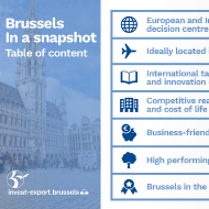 Brussels in a snapshot - Présentation écran - Invest Export Brussels