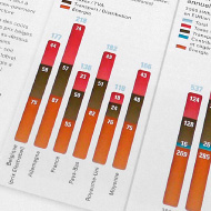 Electrabel – Une énergie partagée - 2010 Annual report - Electrabel GDF SUEZ